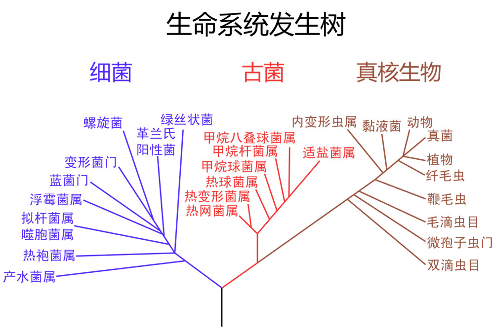 3shengmingxitong.jpg