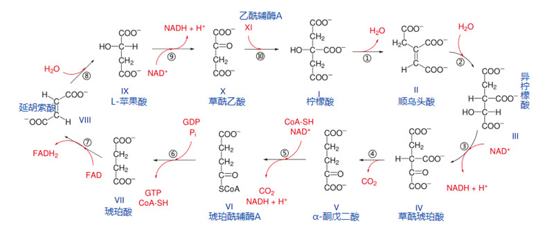 12sansuosuan.jpg